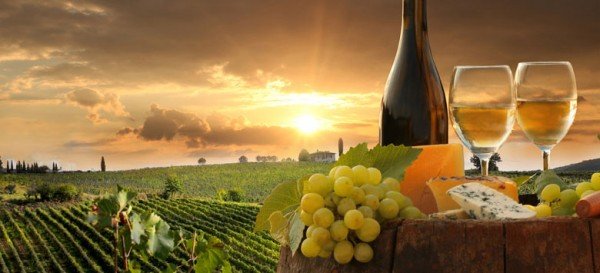 tuscany-wine-travelteam